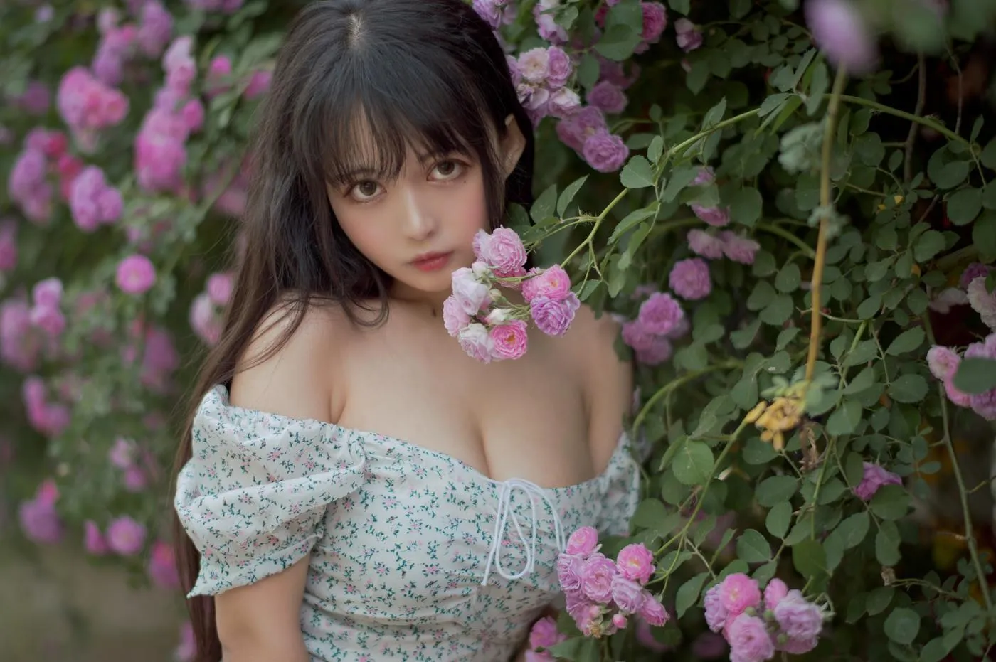 黑猫猫OvO – NO.23 蔷薇2 [27P]插图5